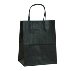 12 CT | Large Solid Color Kraft Bags