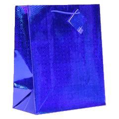 12 Pack | Assorted Hologram Bags