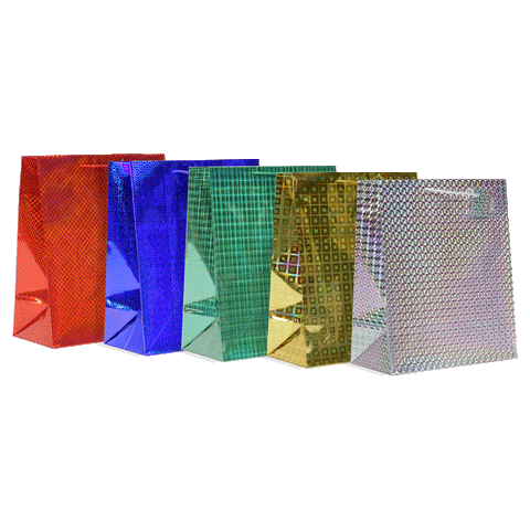 12 Pack | Assorted Hologram Bags